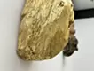 金色な人