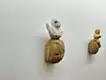 白鳩とボク