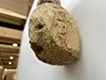 白鳩とボク