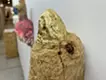 An urid person