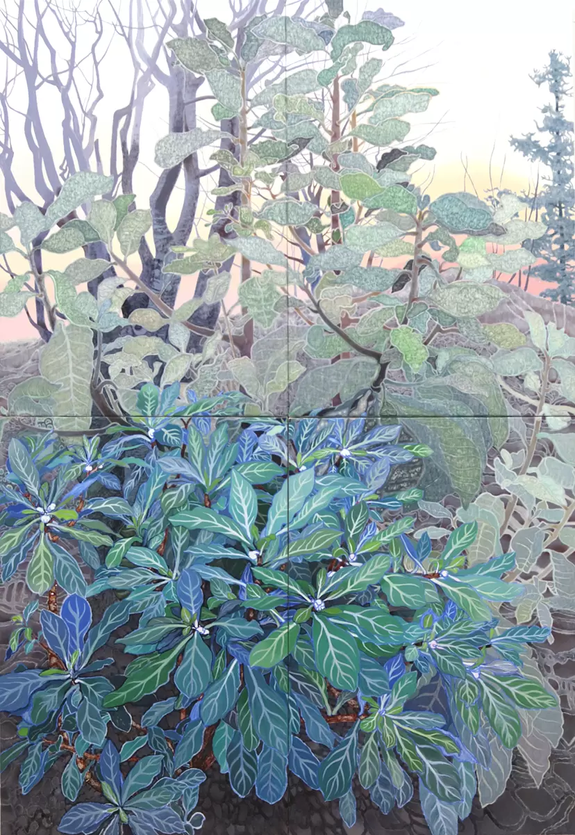 A different morning by Hirano Saeko