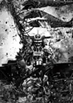 爆誕
