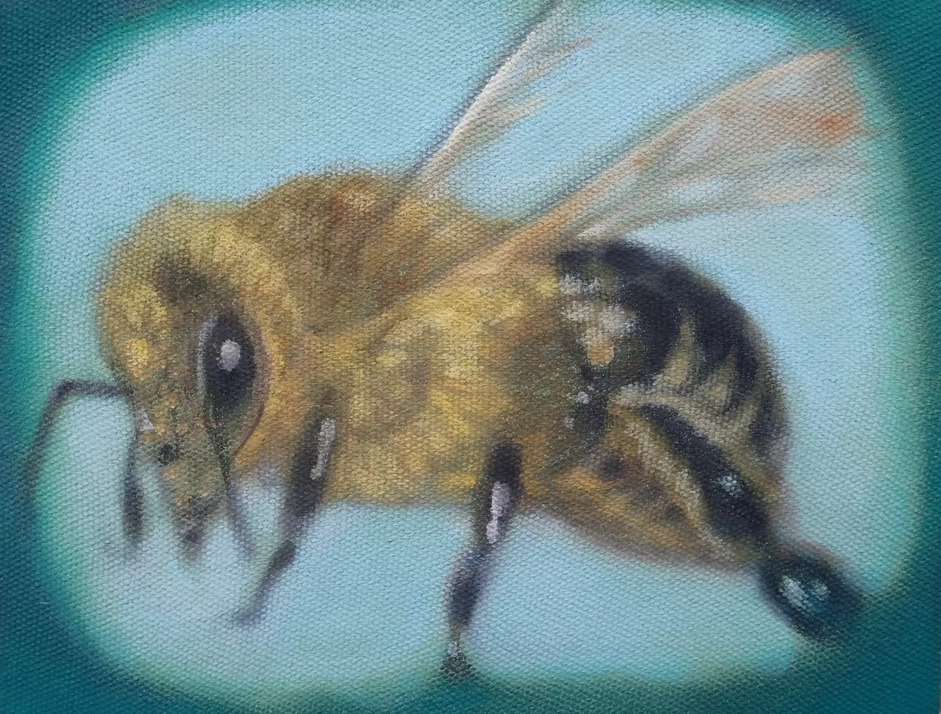 Bee