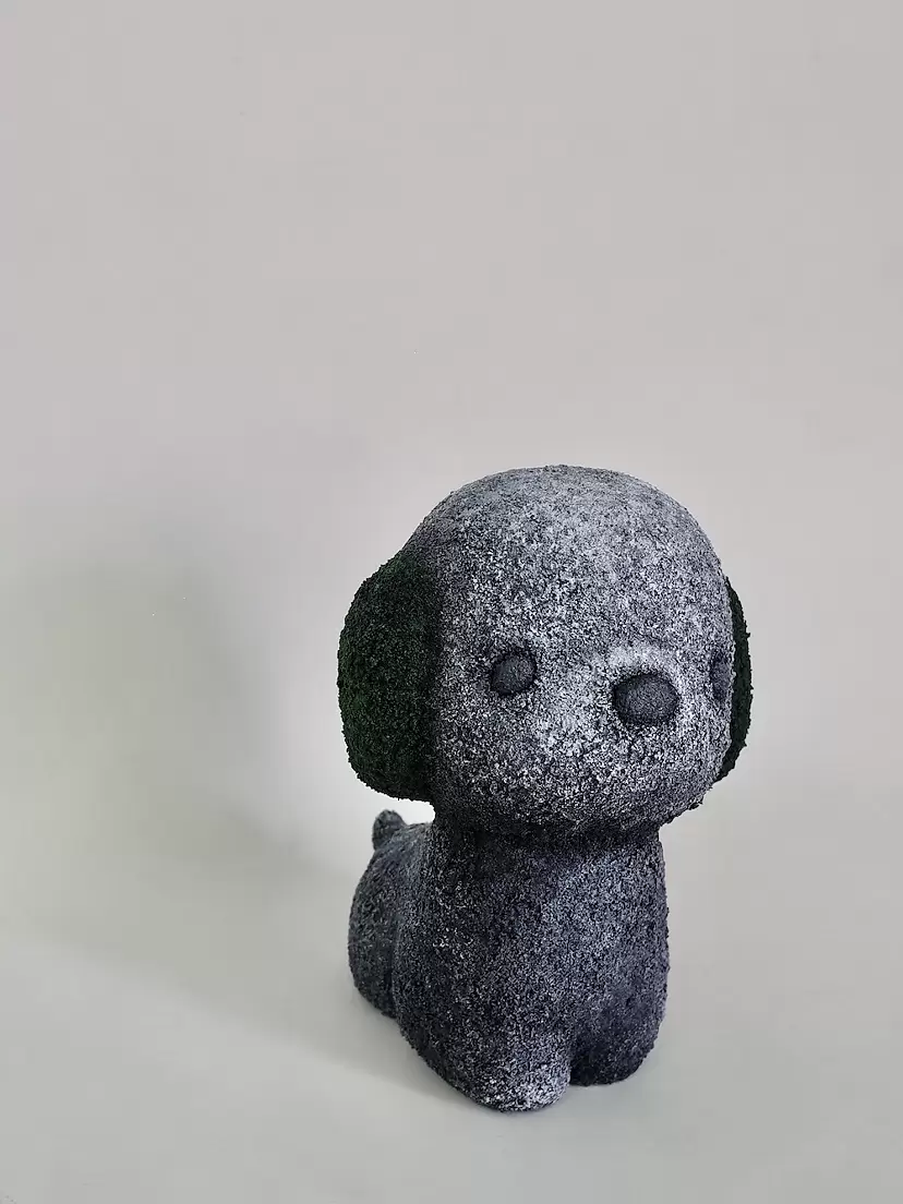 Pochi by Mayu Shiomi