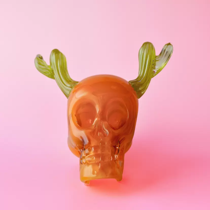 Cactus Skull - El Rancho-  by ザラズア　ラファエル