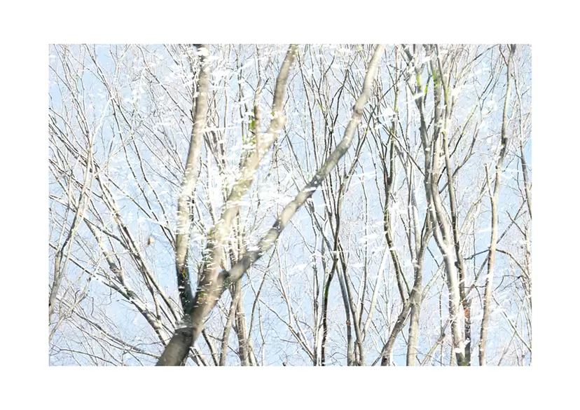 January 20, 2021 from “HOW MANY DAYS?” by 宇壽山貴久子