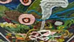 Nocturnal Jungle #2