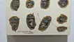 Stones Line Up