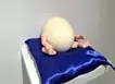 Egg breeder