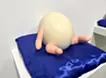 Egg breeder
