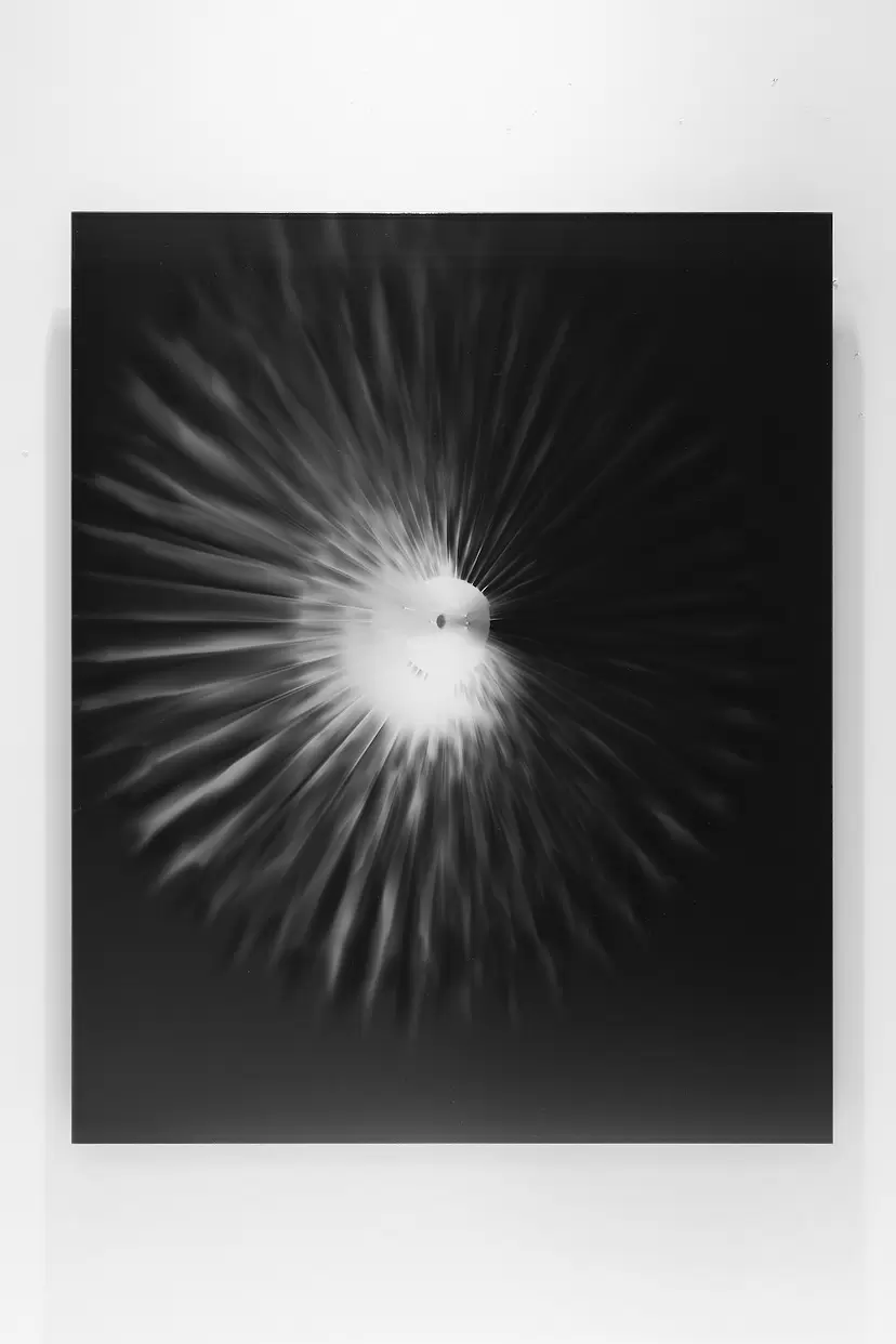 in the shadow of ray _ 0.5s fetal movement_001 by 四方 謙一 