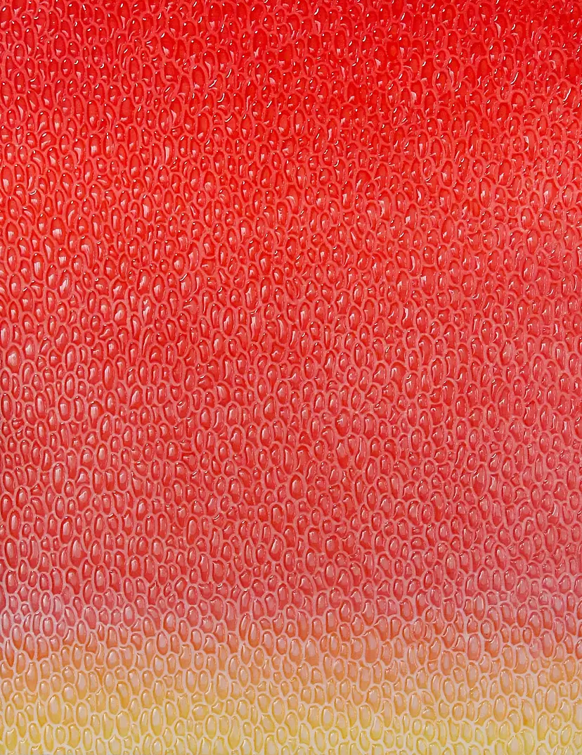 INCEPTION GRADATION RED by Asai Une