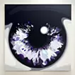 Iris #8