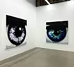 Iris #8