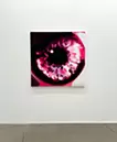Iris #9