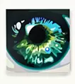 Iris #10
