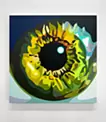 Iris #14