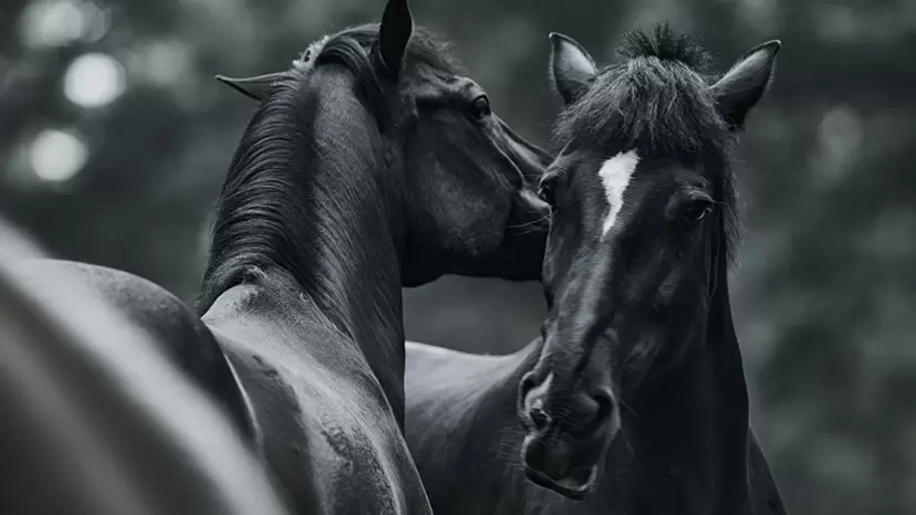 久保田育男 のアート作品 | 現代アートの販売・通販 | ArtSticker