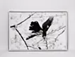 A crow and the cherry blossoms, No. 1. from “ka ra su ( The Crows )”