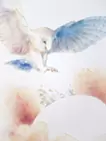 名付けられた世界を変える時