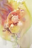 深層に何が映るのか - 内と外が交わる時 - 