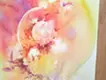 深層に何が映るのか - 内と外が交わる時 - 