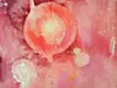 深層に何が映るのか - 不確かな世界 -