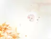 海に潜み空を舞う