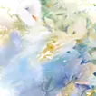 海に潜み空を舞う
