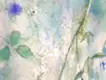風に揺らめく