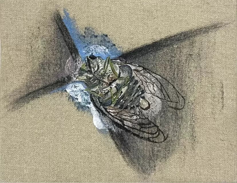 かさかさの音 by 福田さおり