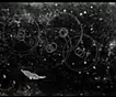 回音