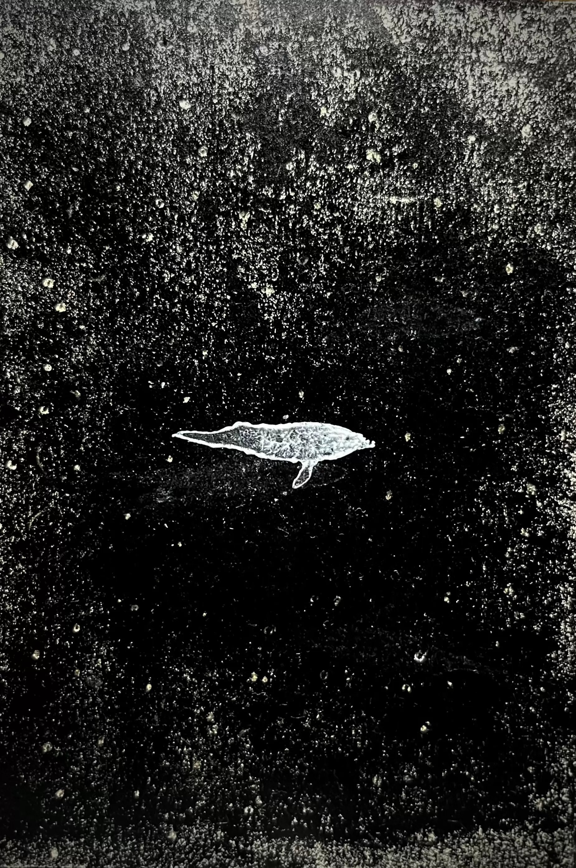 静寂 by koki ota | 現代アートの販売・通販 | ArtSticker