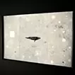 光の街