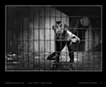 C2D-Monkey-B01