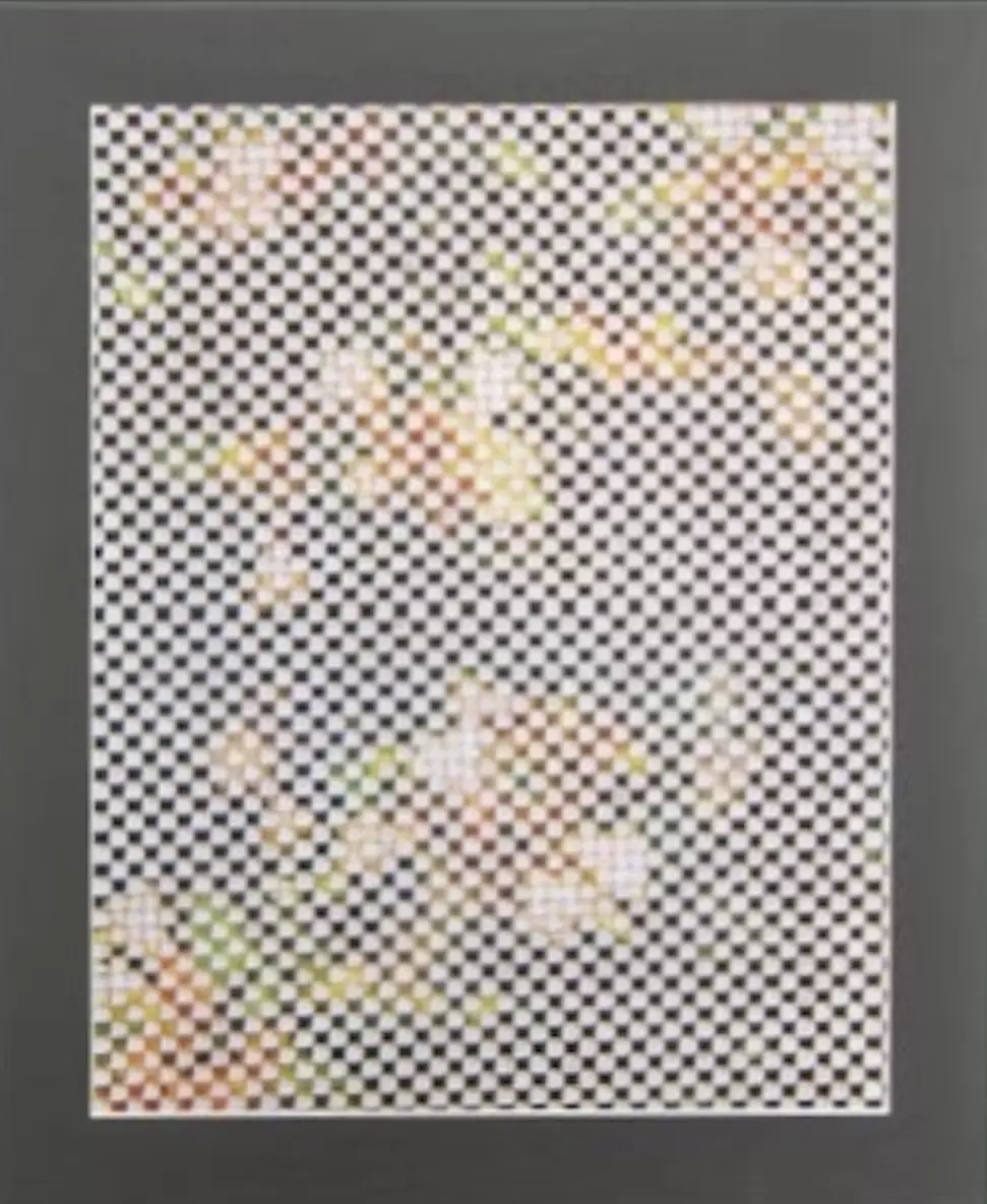 lowres image#3
