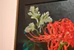 cluster amaryllis