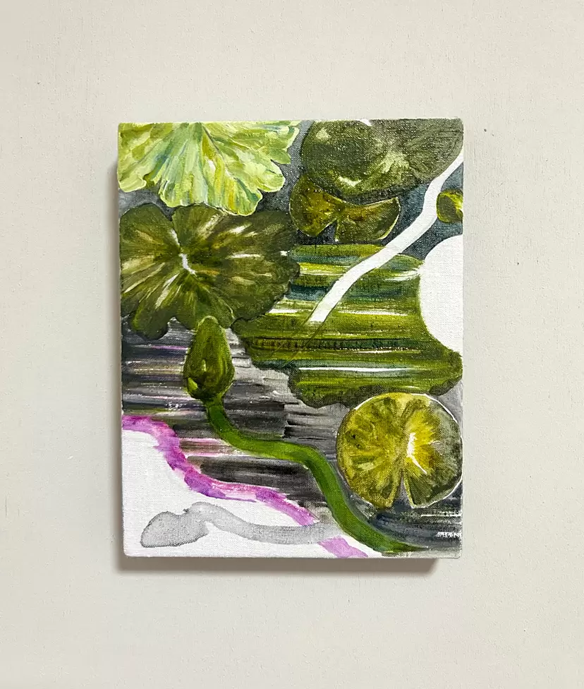 66264_171810630713078_l.webp?