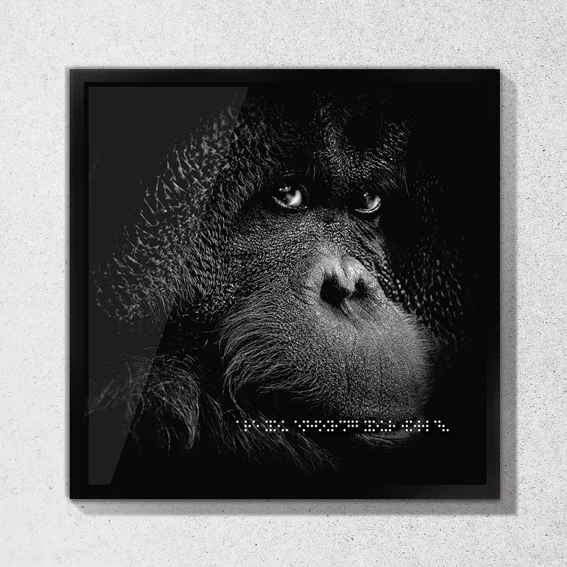 驚きの価格が実現！ Cryptograph 011911 by 中村 晃 | 現代アートの販売・通販 絵画
