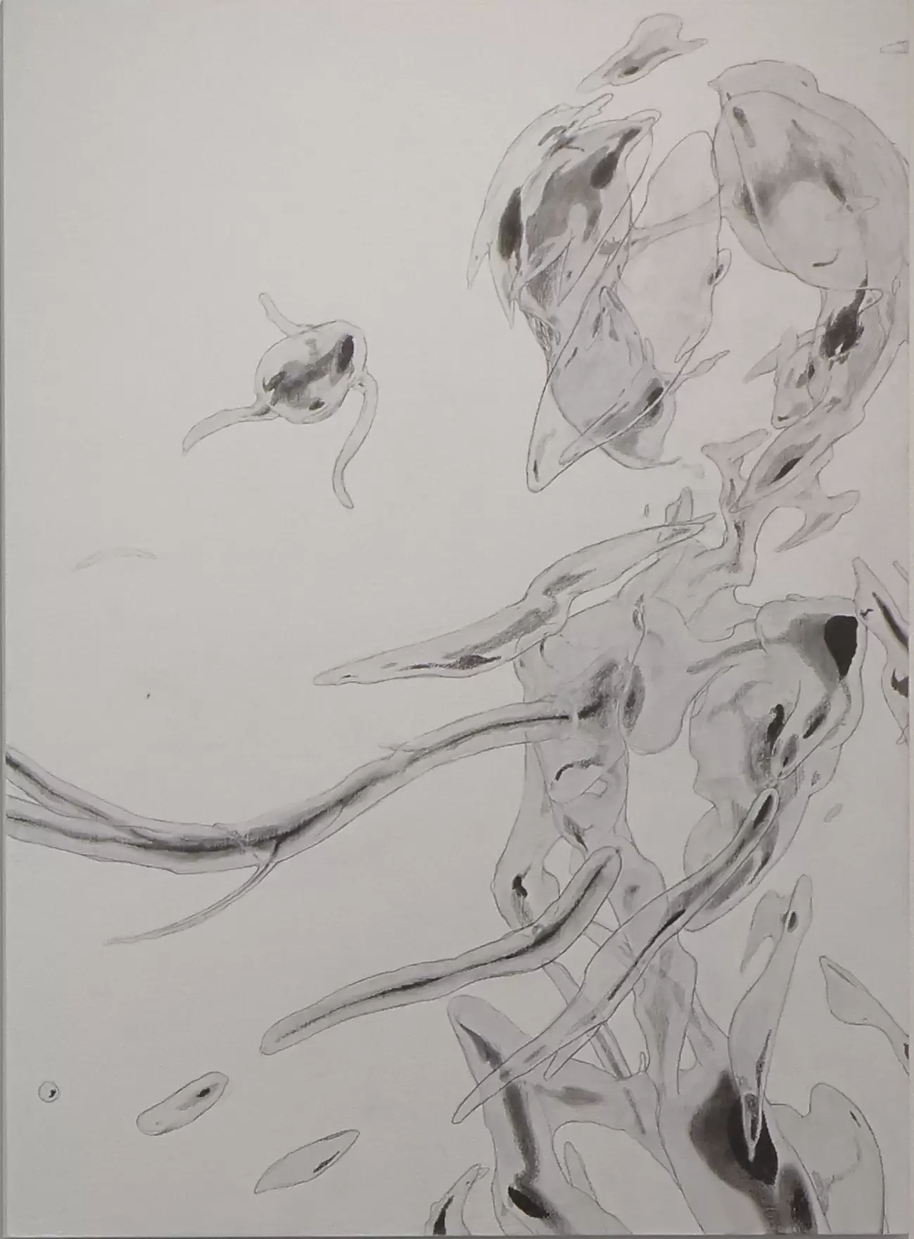 はじめまして