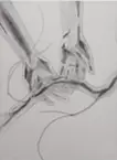 へその緒