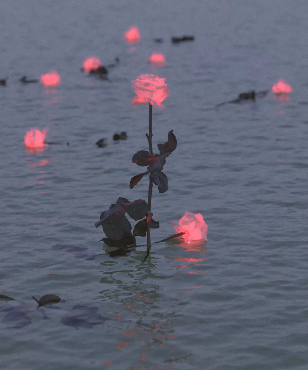 Beta Rose by David Stenbeck | Online art store for contemporary art ...