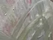 かすむ/くらむ/めがまわる