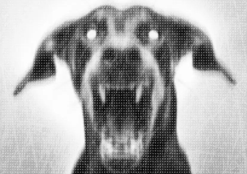 ヘスダーレンの犬 #0002 by 中村 晃