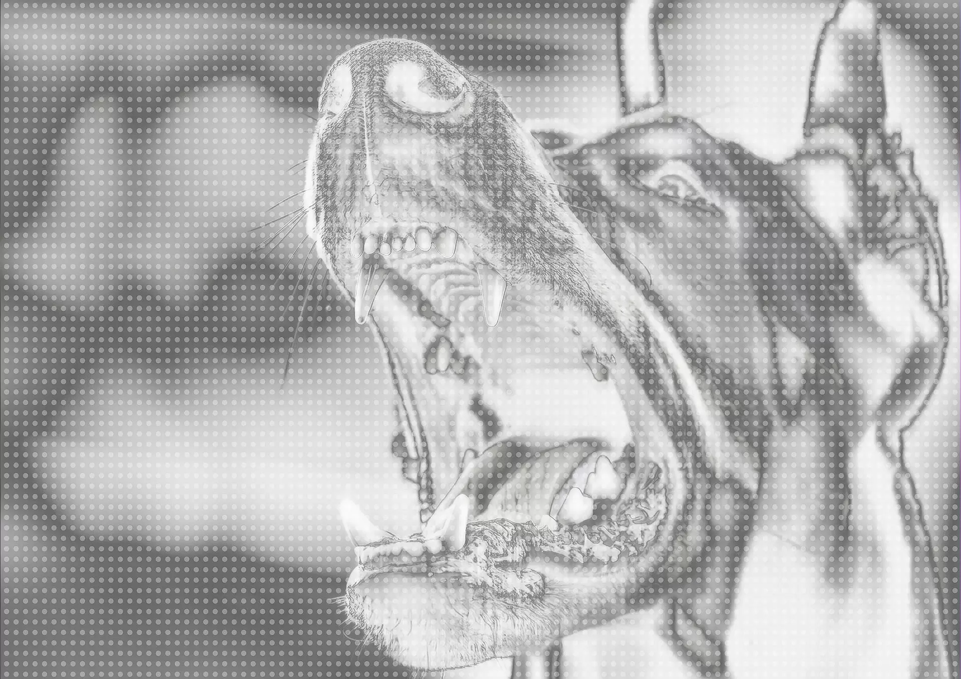ヘスダーレンの犬 #0004