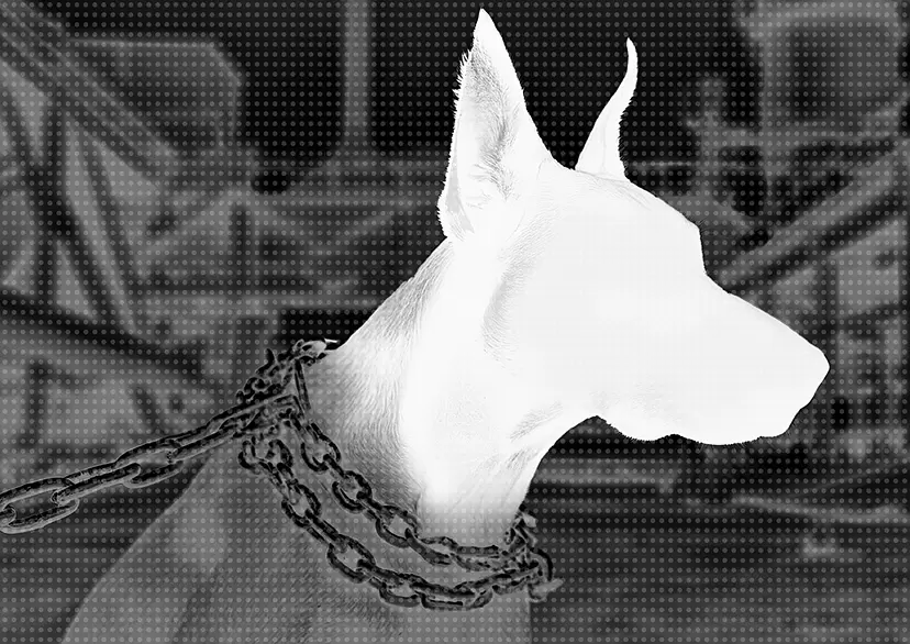 ヘスダーレンの犬 #0005 by 中村 晃