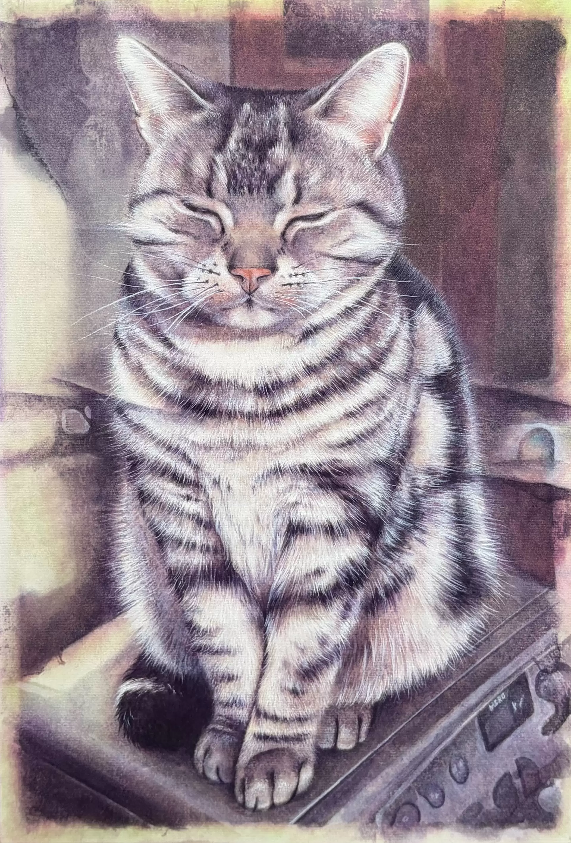目を閉じる猫