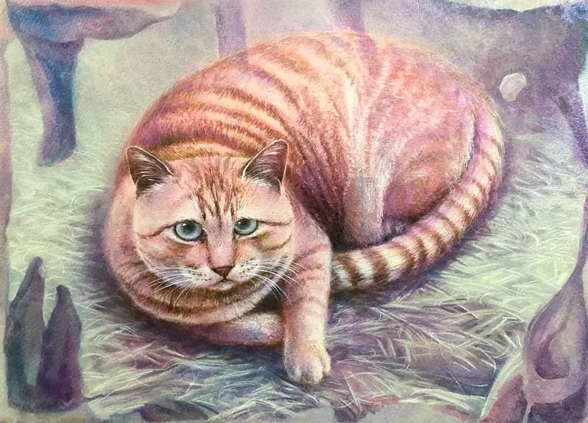 飯田家の猫 by Masayuki Kawabata