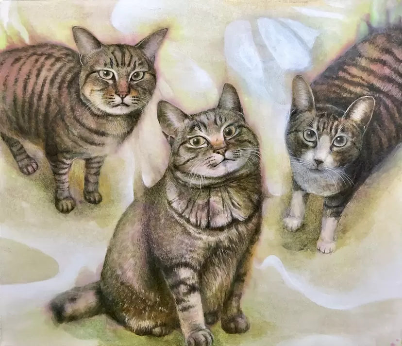 飯田家の猫 by Masayuki Kawabata