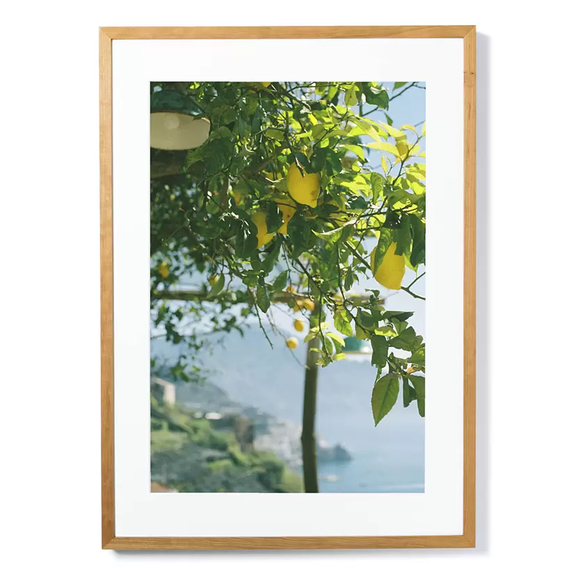 Amalfi Lemon by Lisa Mogami